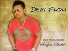 Picture for song 'Desi Flow - INSTRUMENTAL' by artist 'Saidul Ahmed'