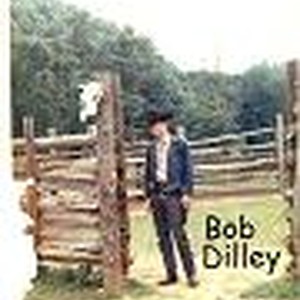 Picture for song 'I WILL NEVER SAY GOODBYE TO YOU - Bob Dilley' by artist 'Spud Martin sample'