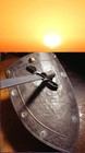 Picture for song 'The Lord is a Sun and a Shield' by artist 'Susan Curry'