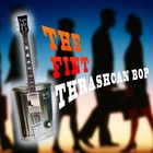 Picture for song 'Thrashcan Bop' by artist 'The Fint'