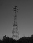 Picture for song 'Pylons' by artist 'the lost highway'