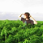 Picture for song 'Waste Deep' by artist 'Theory of Everything'