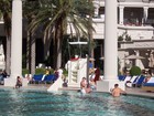 Picture for song 'Working At The Pool' by artist 'Tick Spinach'