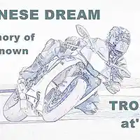 Picture for song 'Japanese Dream - In Memory Of An Unknown Rider' by artist 'Trouble at' Mill'