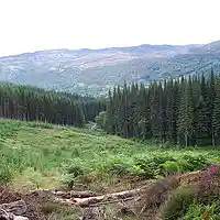 Picture for song 'Going Away Too' by artist 'Viking Blues'