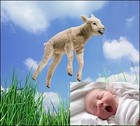 Picture for song 'Counting Sheep' by artist 'VMP (USA)'