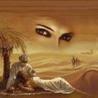 Picture for song 'Sex In Qatar' by artist 'VMP (USA)'