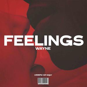 Picture for song 'FEELINGS' by artist 'wayne.prods'