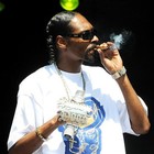 Picture for song '*SALE* UpInSmoke | FREEDL!' by artist 'XaviorJordan'