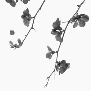 Picture for song 'GLIDE Hard trap beat 2022' by artist 'Zalfprod'