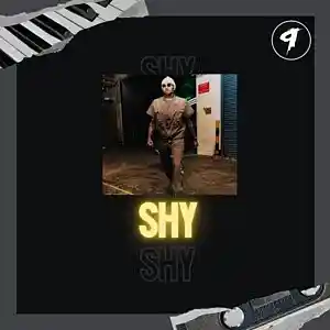 Picture for song 'Shy' by artist '9ELEVEN BEATS'