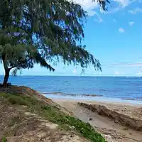 Picture for song 'piano bounce' by artist 'Bsreelbeatzzz'