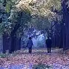 Picture for song 'Singur in noapte' by artist 'Cambridge 2003'