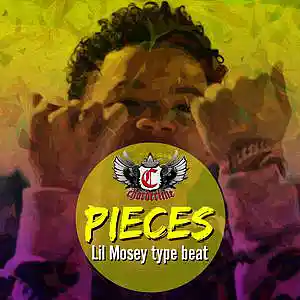 Picture for song 'Pieces (Lil Mosey type beat)' by artist 'Chorderline'