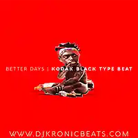 Picture for song 'Better Days (BUY 1 GET 1 FREE)' by artist 'DJ Kronic Beats'