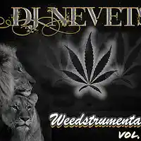 Picture for song 'Live Your Life (Uplifting Hip-Hop Instrumental)' by artist 'Dj Nevets (US)'