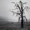 Picture for song 'Ominous (Dark Boom Bap Beat)' by artist 'Enrichment'