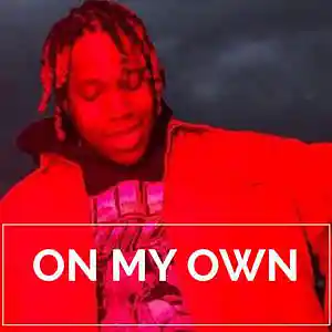 Picture for song 'ON MY OWN / Don Toliver x Travis Scott Type Beat' by artist 'Le Mak Music'