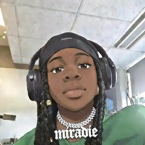 Picture for song 'VID_20260207_182114' by artist 'miradie'