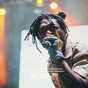 Picture for song 'Untouchable Lil Uzi Vert Type Beat' by artist 'ProdByMajorHitz'