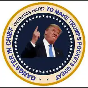 Picture for song 'Gangster in Chief' by artist 'ProphAZ'