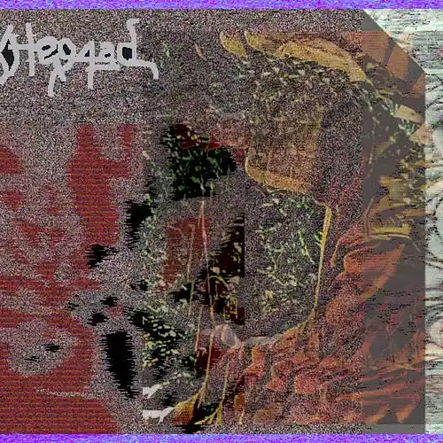 cover pic