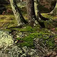 Picture for song 'Green River' by artist 'Acoustic Drive'