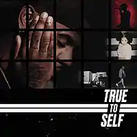 Picture for song 'True or False' by artist 'Alesmurf'
