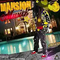 Picture for song 'TM Beats - Michelin' by artist 'Beat Finesse'