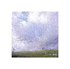 Picture for song 'Talking In Cirlces - Jd Bucinum' by artist 'Bucinum Beats'