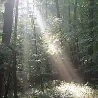 Picture for song 'Carry Me (live in the studio)' by artist 'Leonard Scaper'