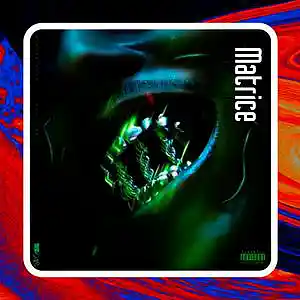 Picture for song 'Laylow Type Beat - "Matrice"' by artist 'Nait Beat'