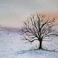 Picture for song 'Winter Tree' by artist 'Philip Taylor'