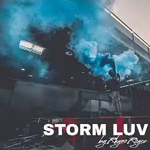 Picture for song 'Storm luv' by artist 'Rhyno Royce'