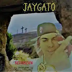 Picture for song 'SMIGGY' by artist 'JAYGATO'