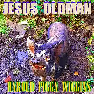 Picture for song 'RUNNING OUT OF TIME early pass' by artist 'JESUS OLDMAN'