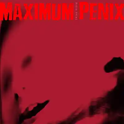 Picture for song 'Ker Tört!' by artist 'Maximum Penix'