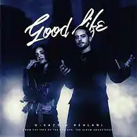 Picture for song 'Good Life (Free DL)' by artist 'Paperfall Bros'