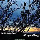 Picture for song '12 Hanging In The Balance.mp3' by artist 'Richie Stoneham'