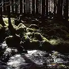 Picture for song 'Just Grey' by artist 'Absaloms Axe'