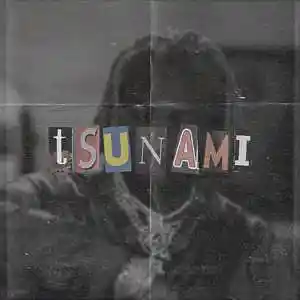 Picture for song ''tsunami' gunna x travis scott type beat' by artist 'carlosmadeit.'