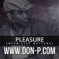 Picture for song 'Pleasure (with live guitar) (FREE DL)' by artist 'DON P'
