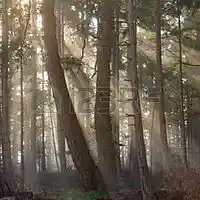 Picture for song 'Slow Orchestral Scene Opener' by artist 'Drew Man'