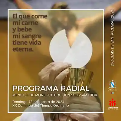 Picture for song 'XX Domingo ordinario, 18 de agosto' by artist 'Producciones Vandor'