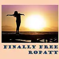 Picture for song 'Finally Free' by artist 'Ropatt'