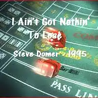 Picture for song 'Nothing To Lose' by artist 'Steve Domer'