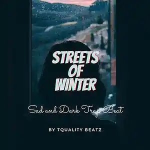 Picture for song 'Streets of winter' by artist 'T-Quality Beatz'