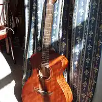 Picture for song 'The Small Slim Finch' by artist 'Viking Blues'