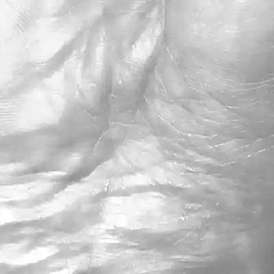 Picture for song 'Funny things about Europe' by artist 'ALWAYS A BIT TWITCHY'