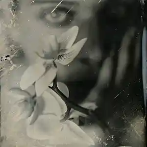 Picture for song 'Impermanence (feat. Ariane Duclos)' by artist 'Attenborough'
